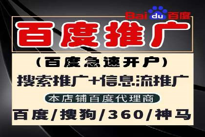 百度推广策略揭秘：某行业领头羊的成功经验